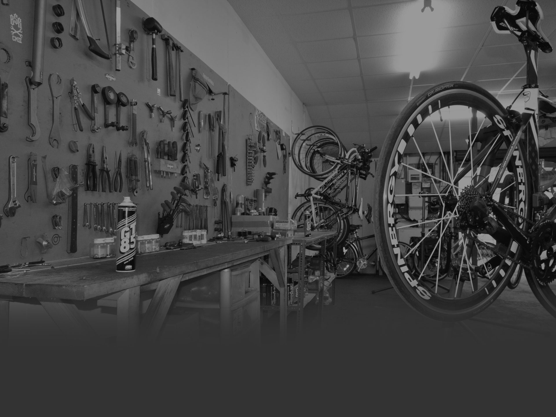 Bicycle service shop near me hotsell